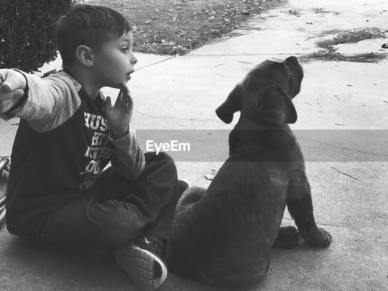 Boy with dog sitting on footpath in park