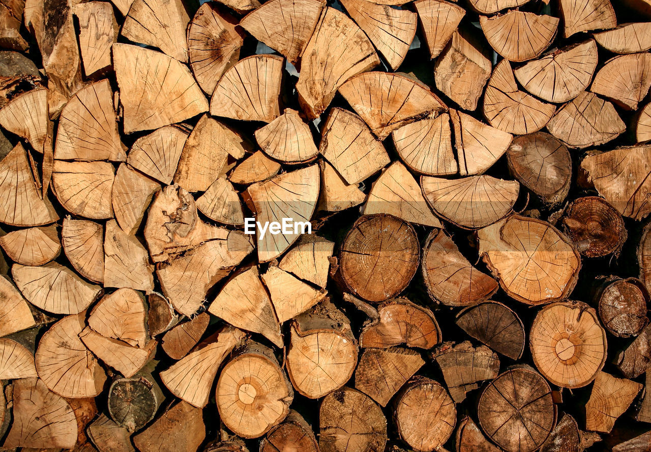 FULL FRAME SHOT OF LOGS IN A FOREST