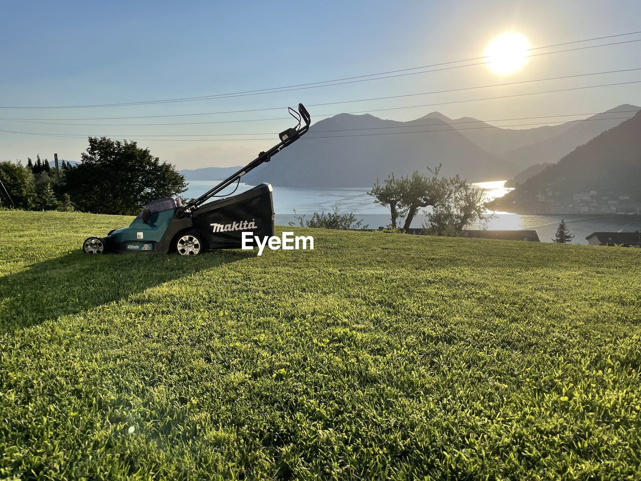 grass, plant, field, nature, sky, horizon, grassland, morning, hill, rural area, meadow, sunlight, land, landscape, transportation, mode of transportation, environment, beauty in nature, scenics - nature, green, tree, no people, agriculture, rapeseed, plain, flower, vehicle, prairie, day, tranquility, golf, outdoors, rural scene, natural environment, land vehicle, cloud, tranquil scene, sunny, water, sports