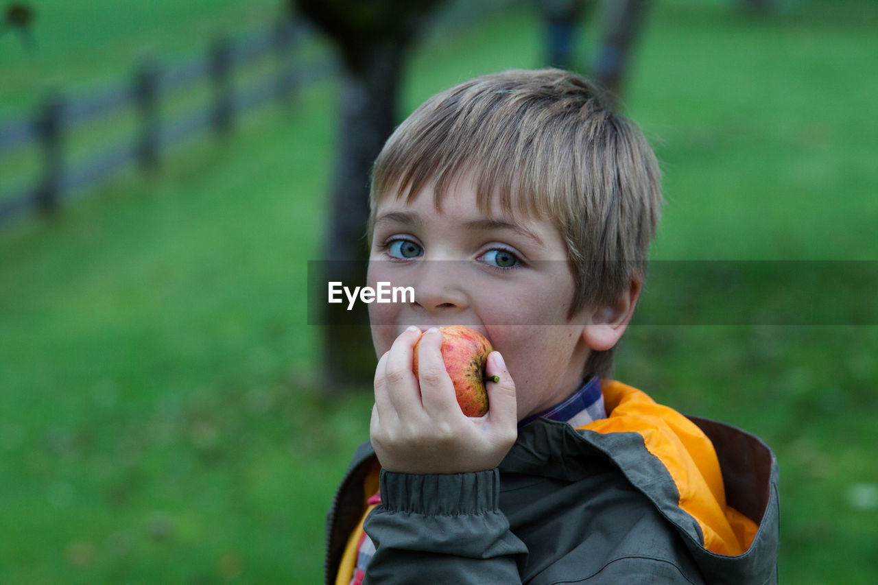 Portrait of boy eating apple on field