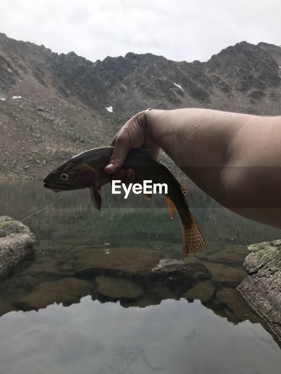 HUMAN HAND HOLDING WATER IN MOUNTAIN