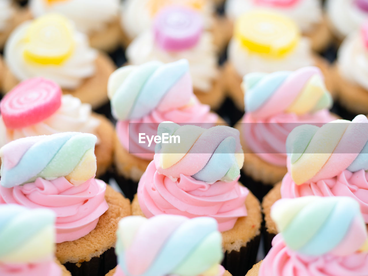 CLOSE-UP OF VARIOUS CUPCAKES