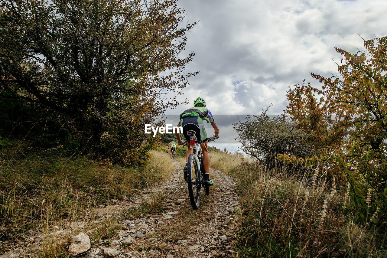 Man riding bicycle on plants against sky