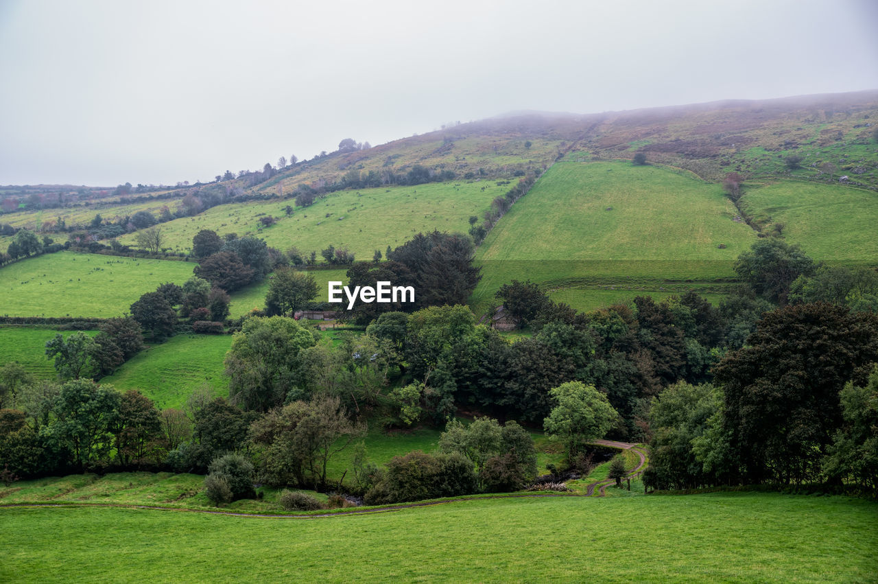 SCENIC VIEW OF LANDSCAPE