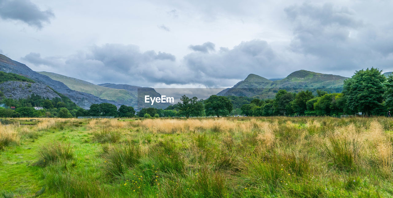 Scenic view of field and mountains against sky