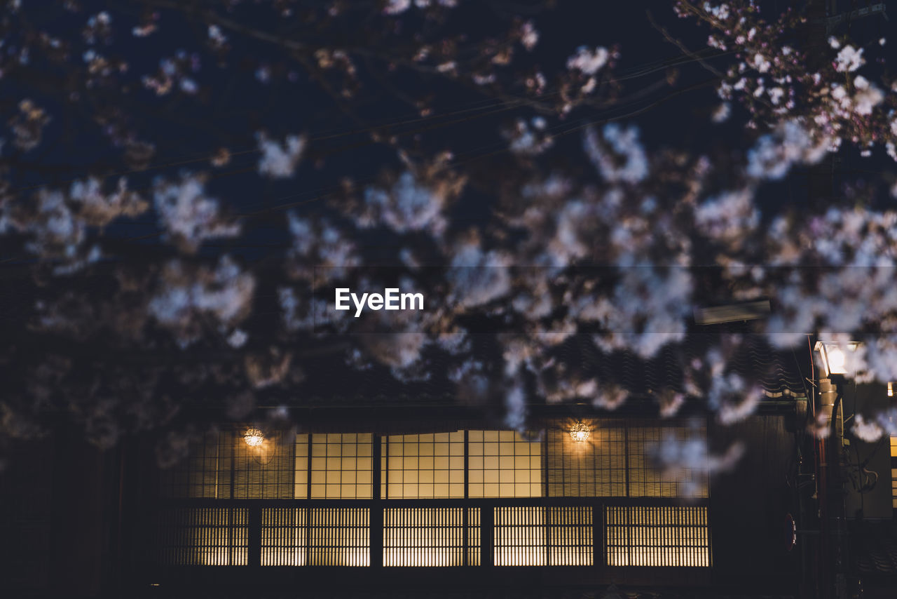 Illuminated building against sky at night