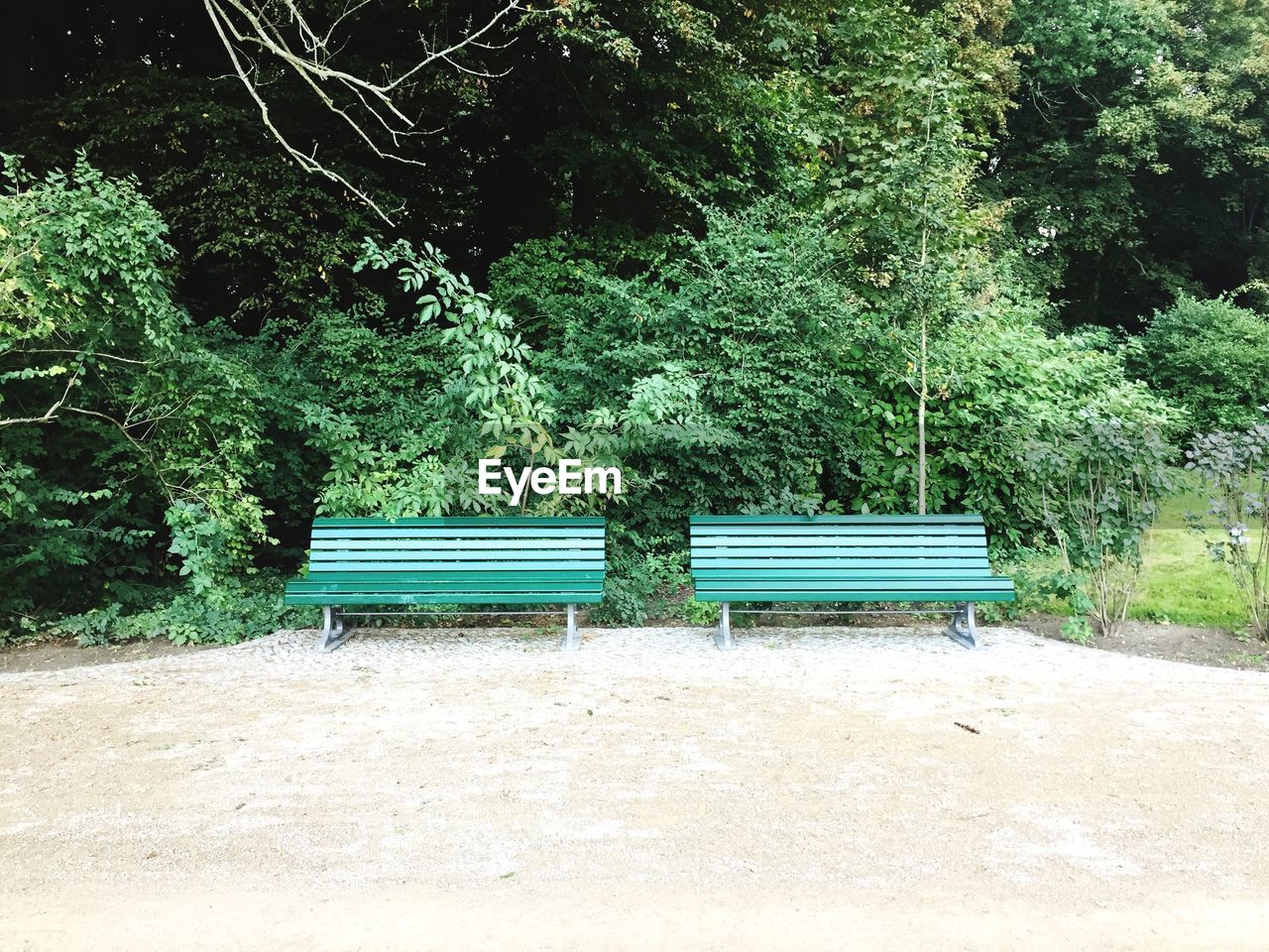 EMPTY BENCH IN PARK AGAINST TREES IN THE BACKGROUND