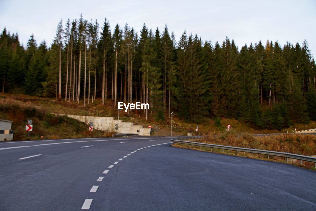 ROAD AMIDST TREES AND FOREST