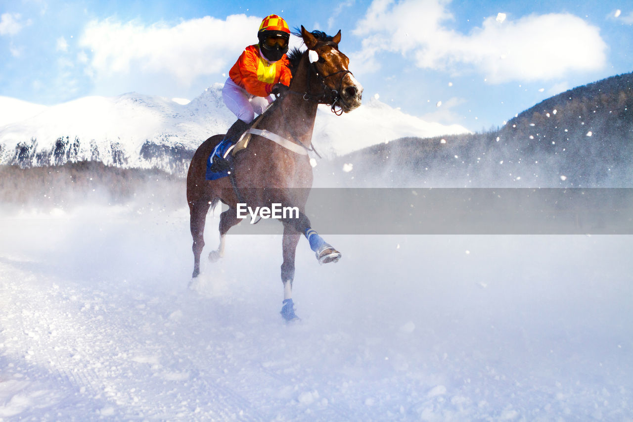 FULL LENGTH OF A MAN RIDING HORSE IN SNOW