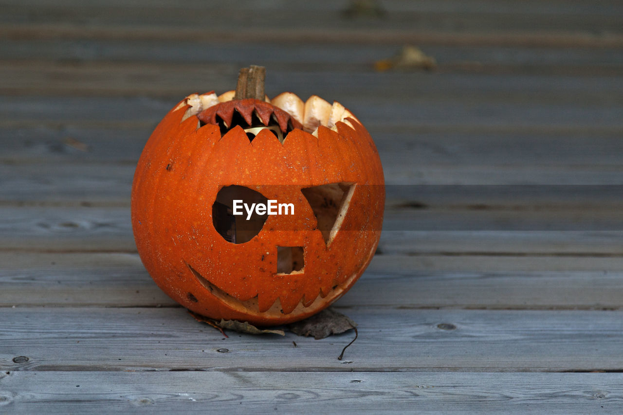 An ordinary orange pumpkin for halloween