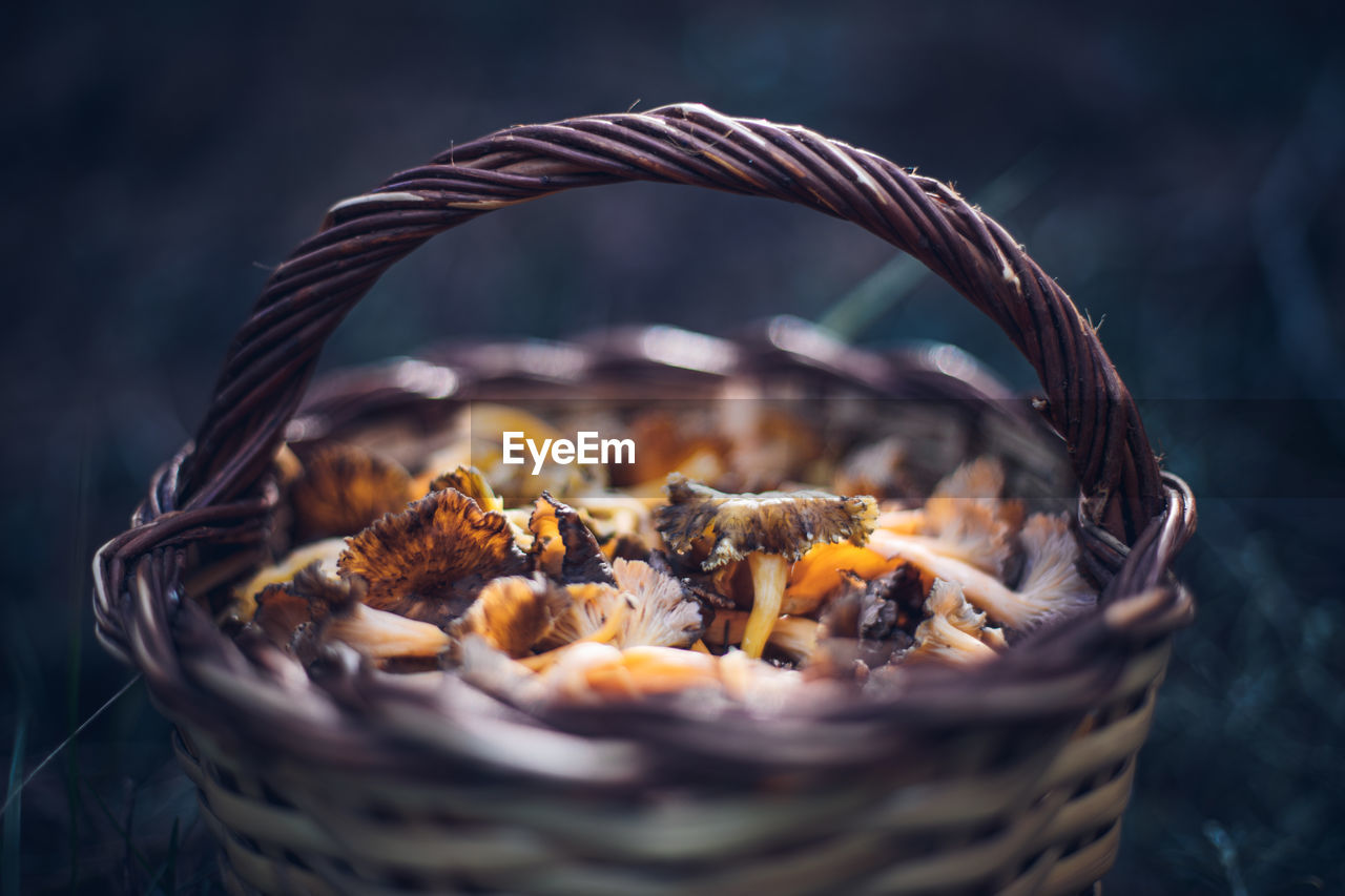 Close-up of mushrooms in basket
