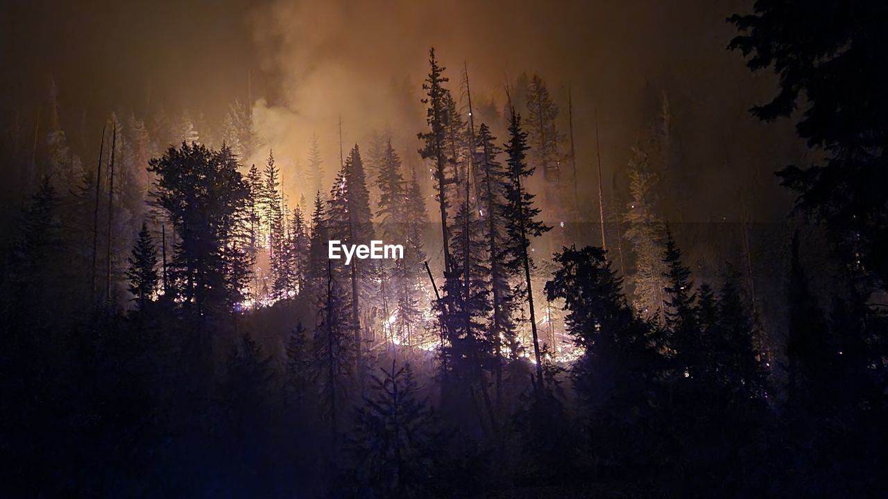 Scenic view of forest fire glowing at night