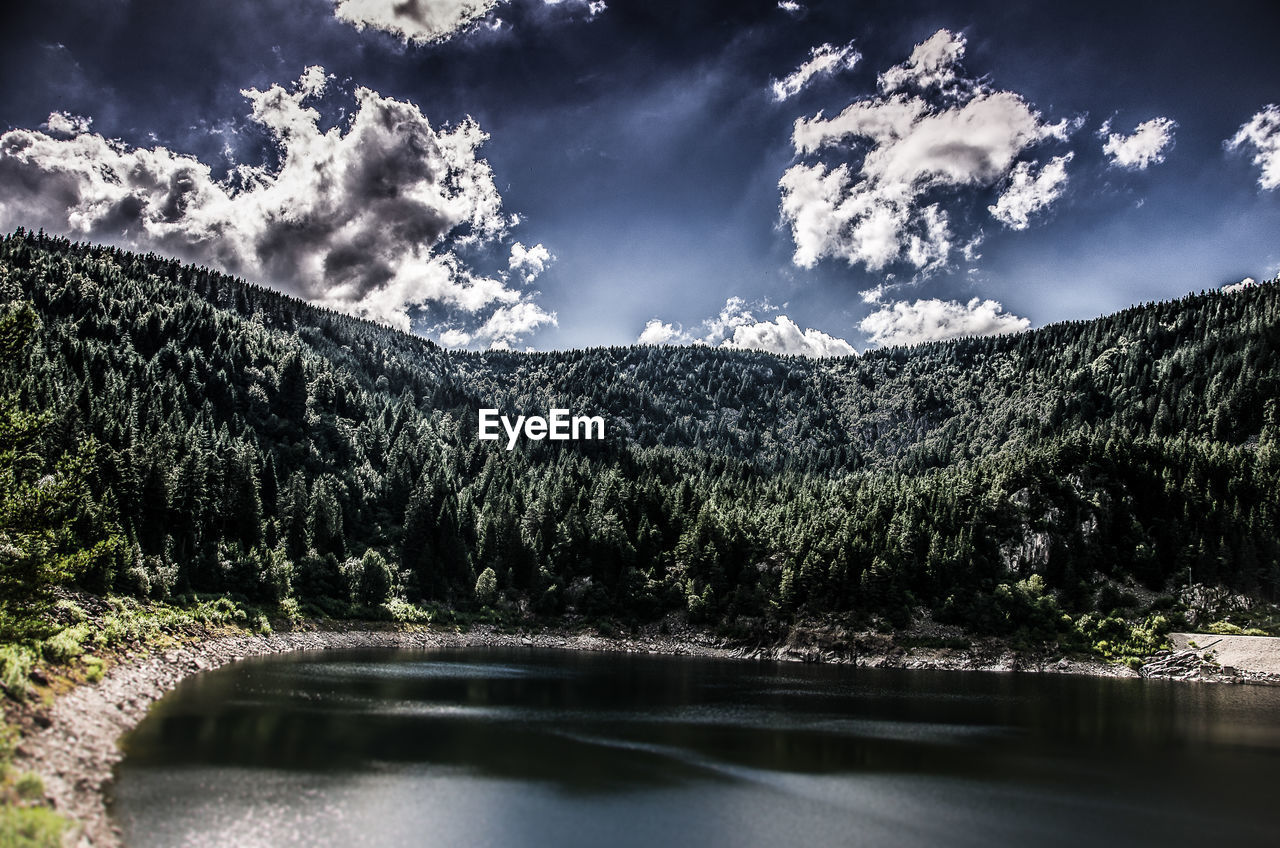 SCENIC VIEW OF LAKE WITH TREES IN BACKGROUND