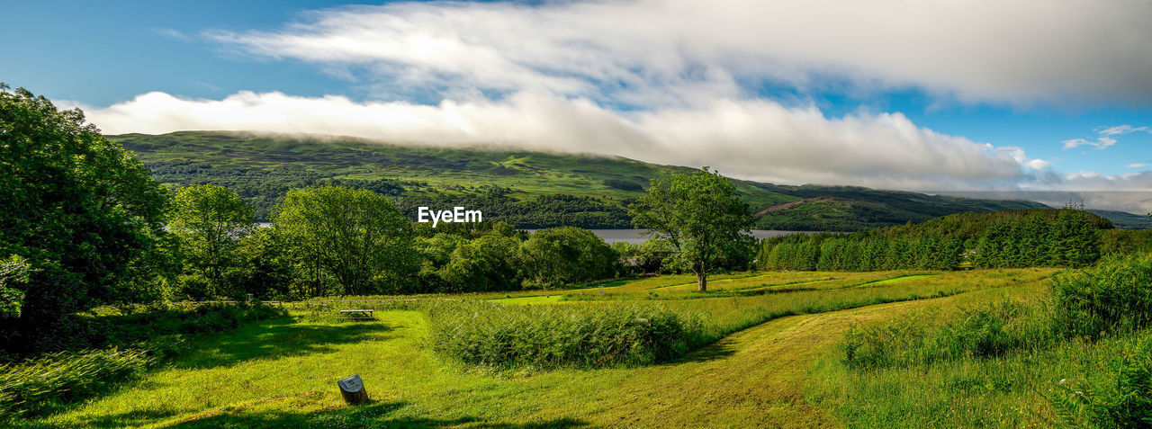 SCENIC VIEW OF FARM AGAINST SKY