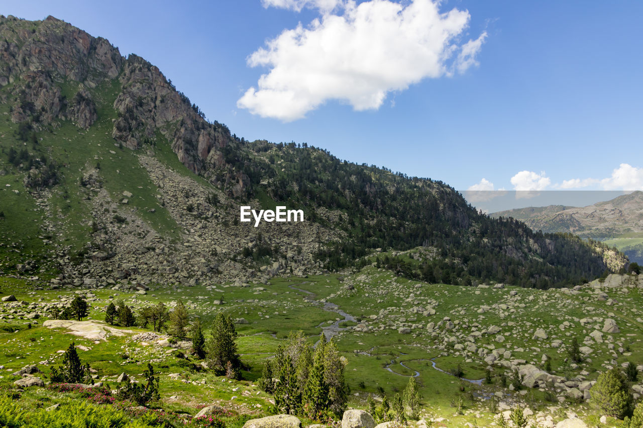 Scenic view of landscape against sky