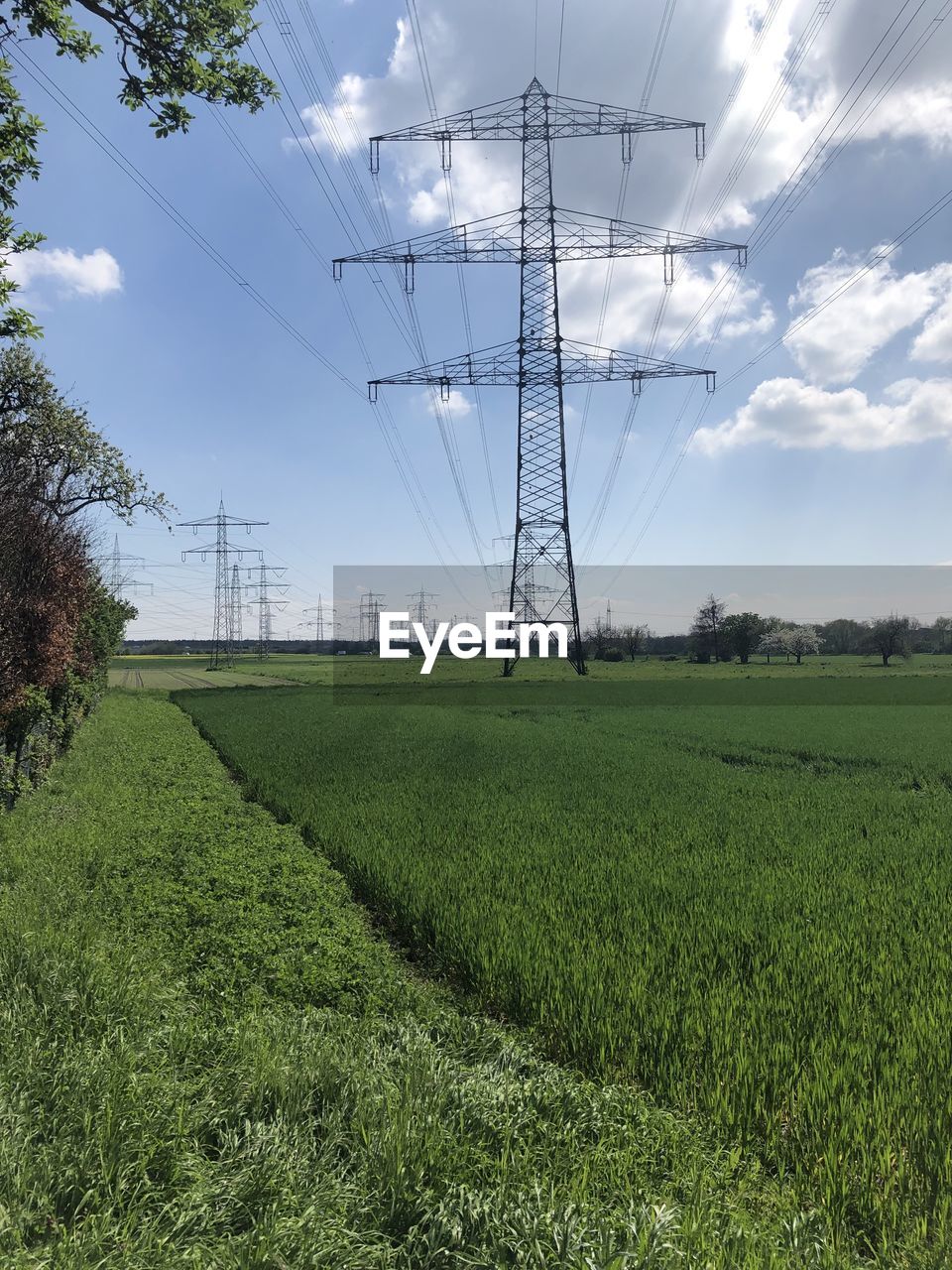 electricity, cable, technology, electricity pylon, power supply, plant, sky, power generation, power line, environment, nature, landscape, land, cloud, field, agriculture, outdoor structure, overhead power line, green, growth, no people, grass, rural scene, transmission tower, outdoors, scenics - nature, tree, architecture, crop, beauty in nature, environmental conservation, day, built structure, soil, flower, wind, in a row, tower, power cable, rural area, tranquility