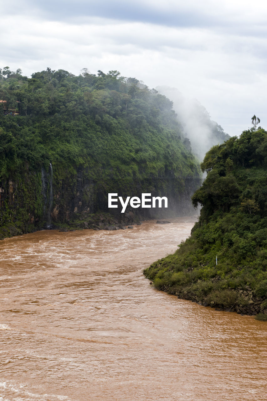 Scenic view of river amidst trees against sky