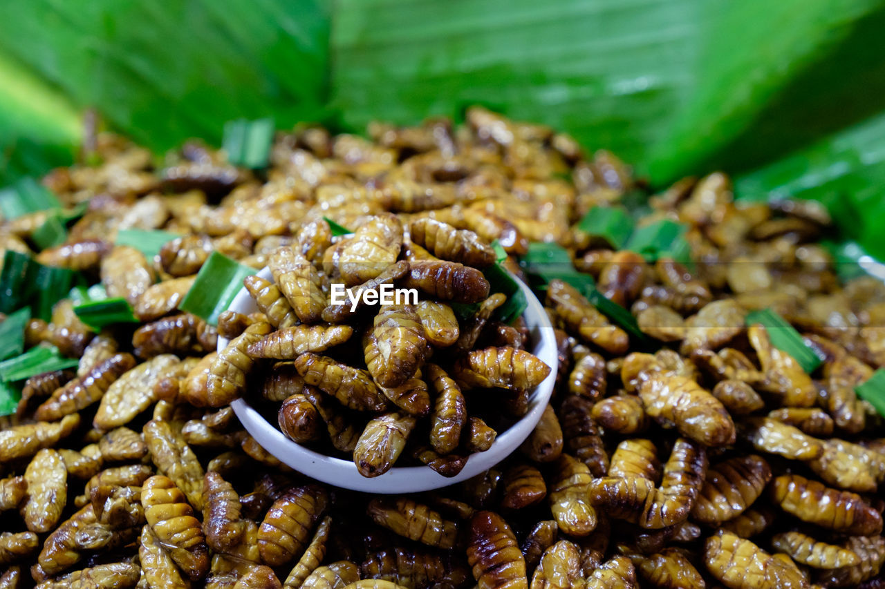 Close-up of insects for sale in market