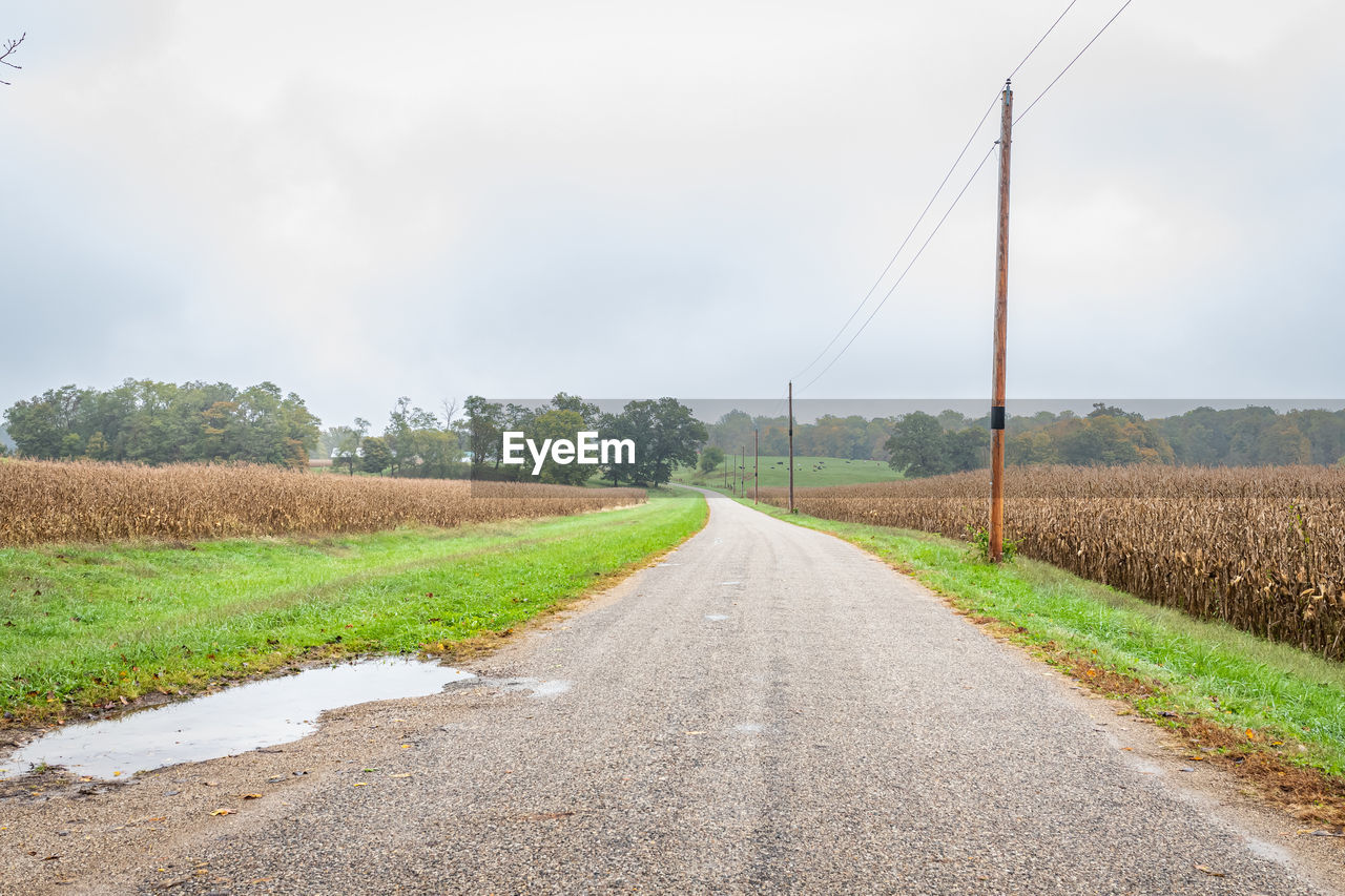 road, landscape, sky, environment, transportation, rural scene, cloud, rural area, plant, nature, land, agriculture, field, diminishing perspective, the way forward, vanishing point, asphalt, highway, no people, infrastructure, scenics - nature, electricity, grass, beauty in nature, country road, tranquility, soil, street, dirt, technology, tree, farm, social issues, dirt road, crop, city, day, tranquil scene, cable, outdoors, overcast, environmental conservation, travel, empty road, food and drink, growth, cereal plant, food, cloudscape, horizon, in a row, electricity pylon, road surface