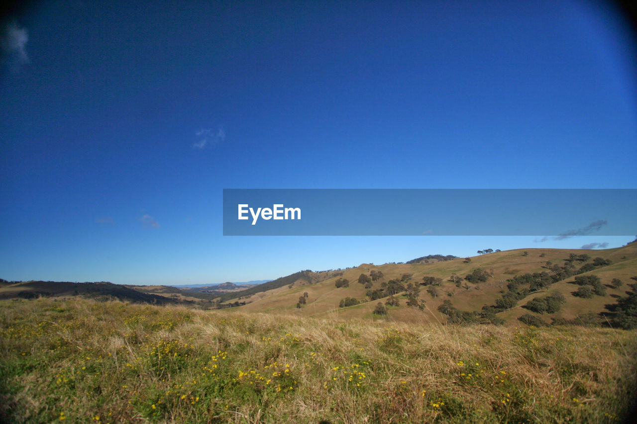 SCENIC VIEW OF FIELD AGAINST BLUE SKY