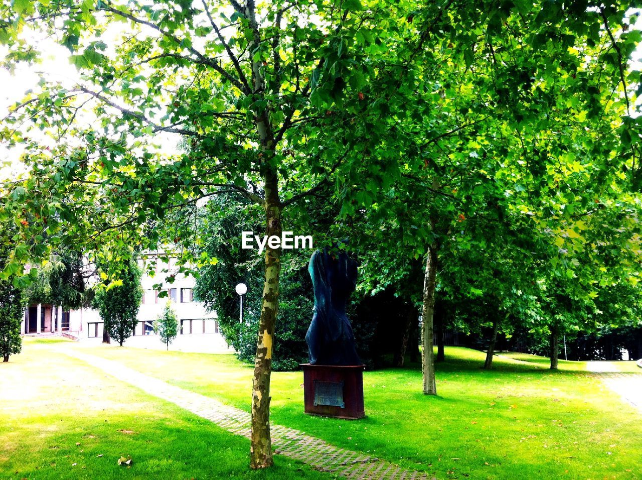 VIEW OF SCULPTURE IN PARK AGAINST TREES