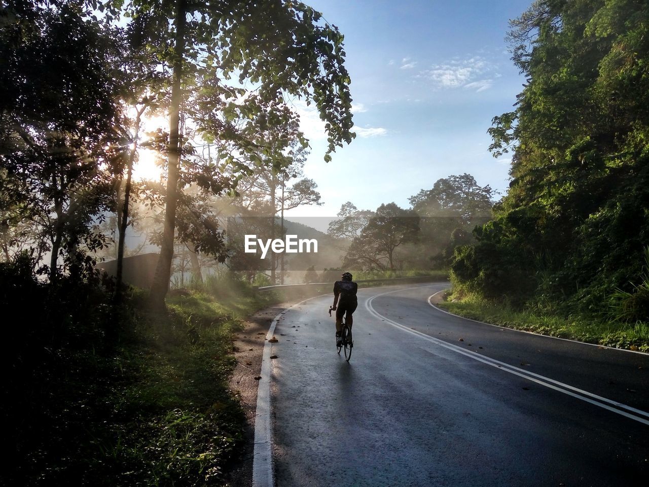 Rear view of man riding bicycle on road