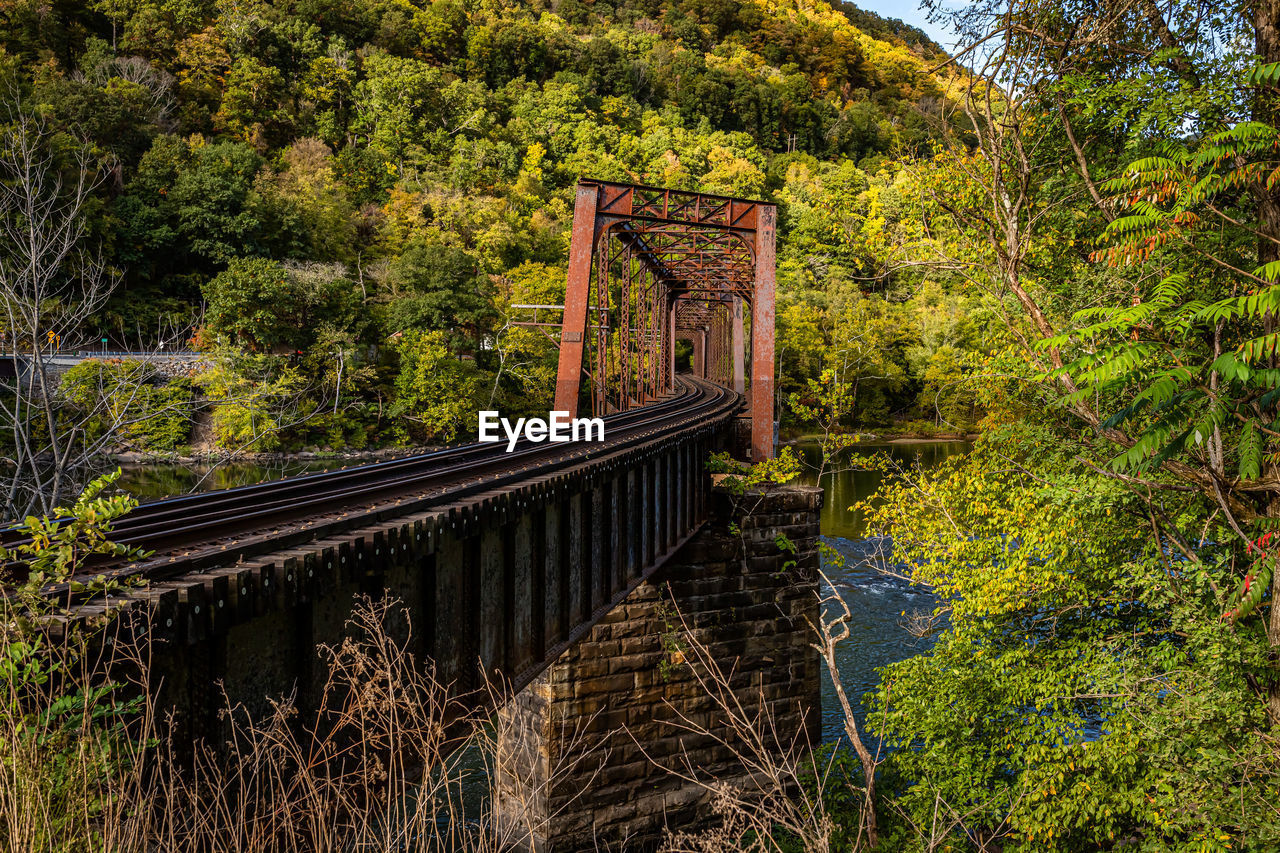 plant, tree, autumn, forest, bridge, nature, growth, architecture, no people, built structure, woodland, green, land, beauty in nature, day, leaf, natural environment, rural area, wilderness, tranquility, suspension bridge, outdoors, transport, water, transportation, scenics - nature, foliage, non-urban scene, lush foliage, river, tranquil scene, footbridge, railing, track, landscape, flower, rolling stock