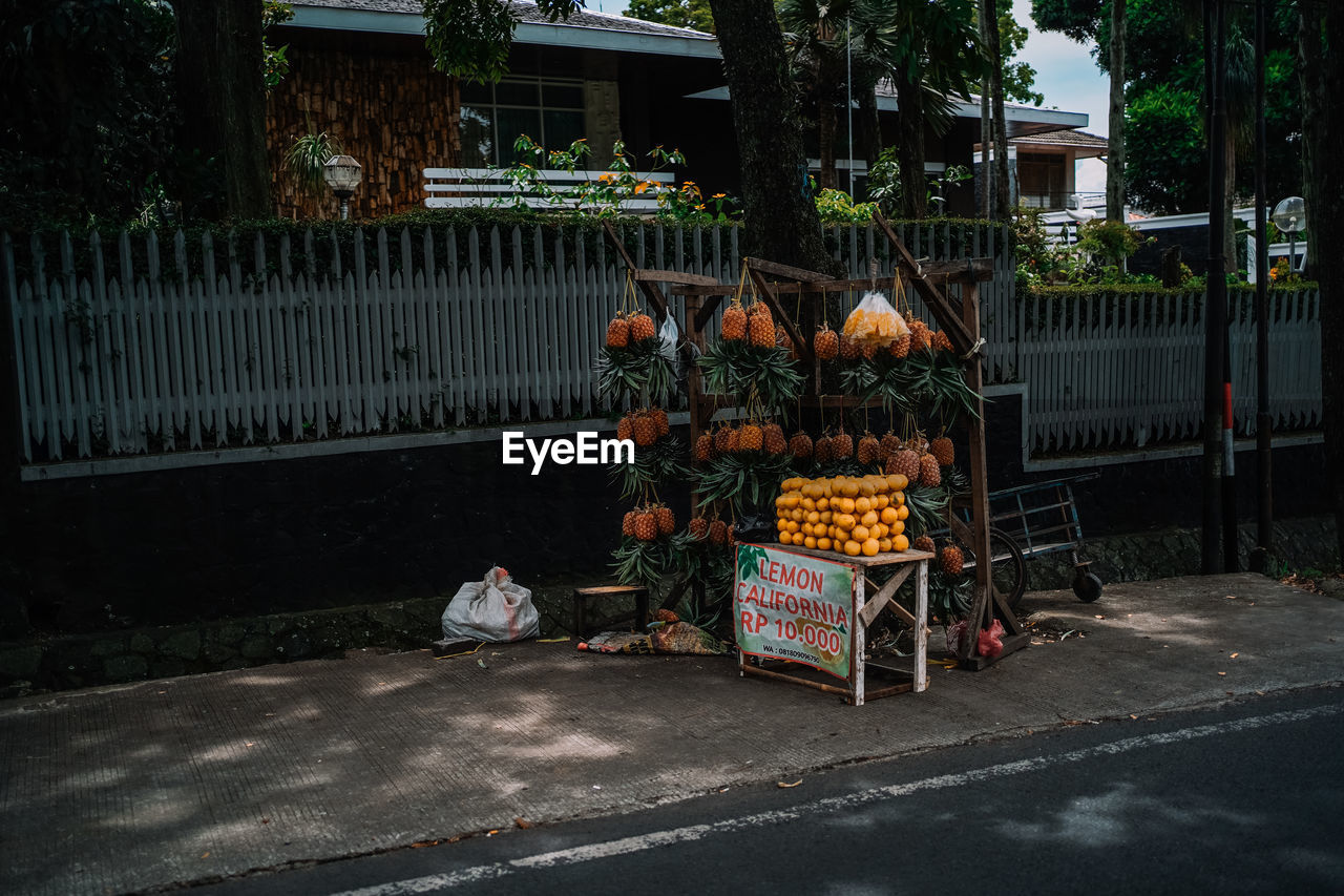 Pineapple street shop 