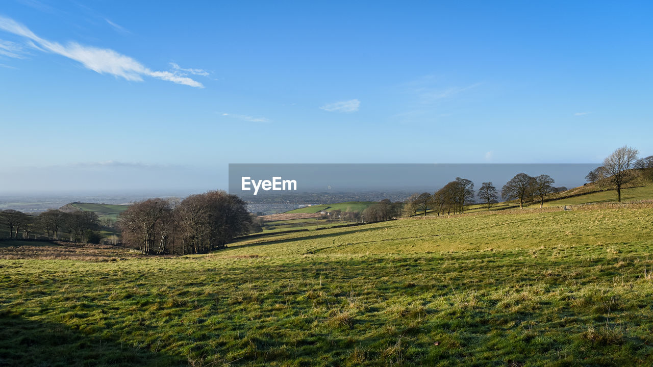 sky, landscape, nature, plant, hill, environment, land, grass, field, scenics - nature, tree, rural scene, beauty in nature, meadow, rural area, tranquility, grassland, agriculture, no people, sunlight, horizon, green, cloud, tranquil scene, blue, flower, pasture, morning, growth, crop, autumn, outdoors, farm, day, plateau, leaf, non-urban scene, food and drink, travel, plain, architecture, idyllic