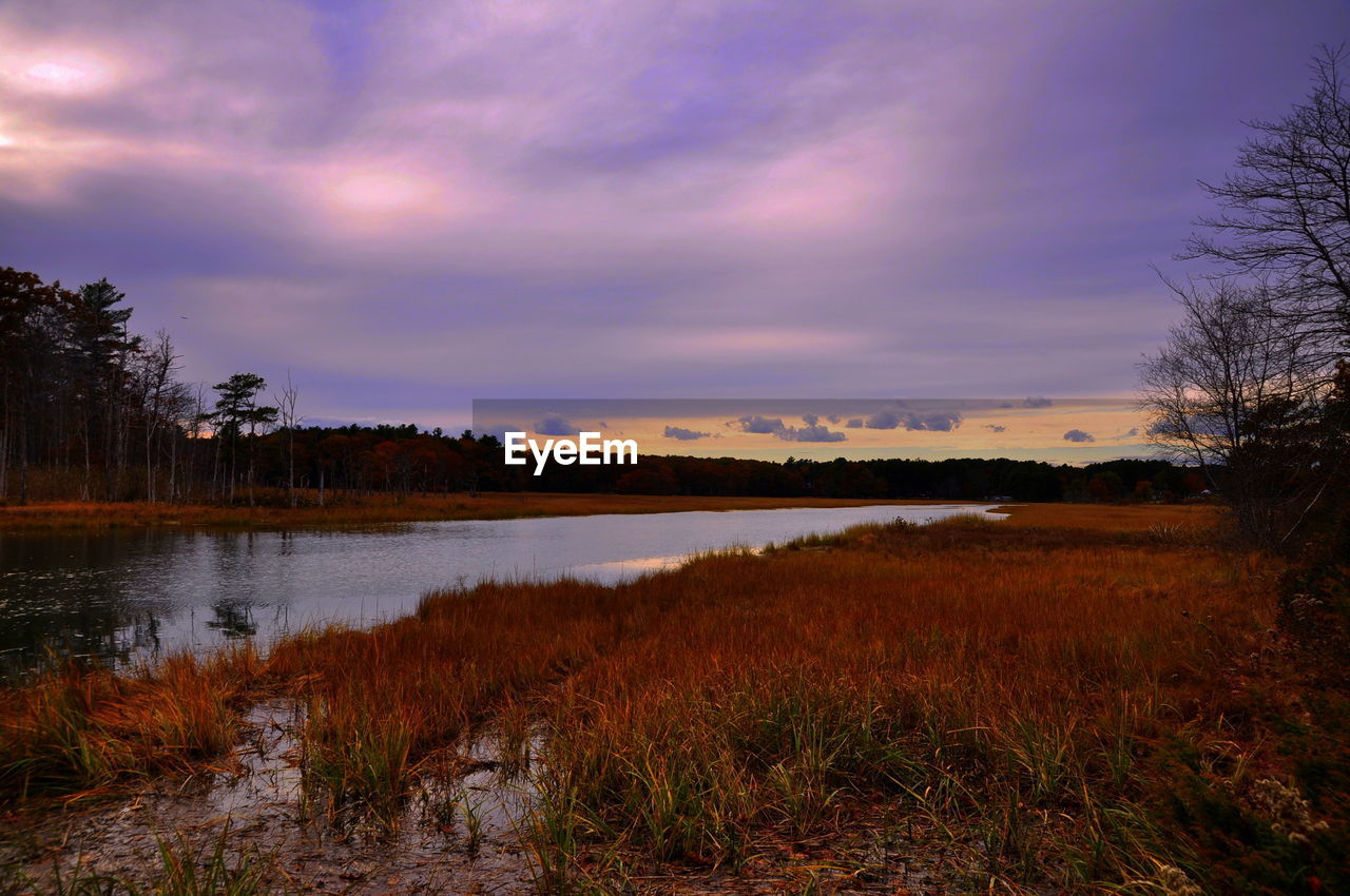 Scenic view of wetland against cloudy sky