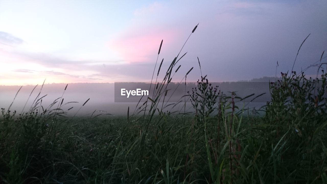 SCENIC VIEW OF LANDSCAPE AGAINST SKY DURING SUNSET