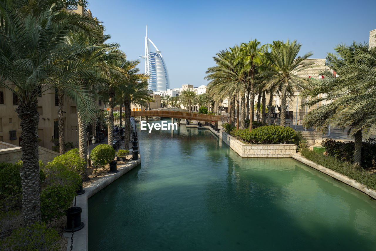 PALM TREES BY SWIMMING POOL AGAINST BUILDING