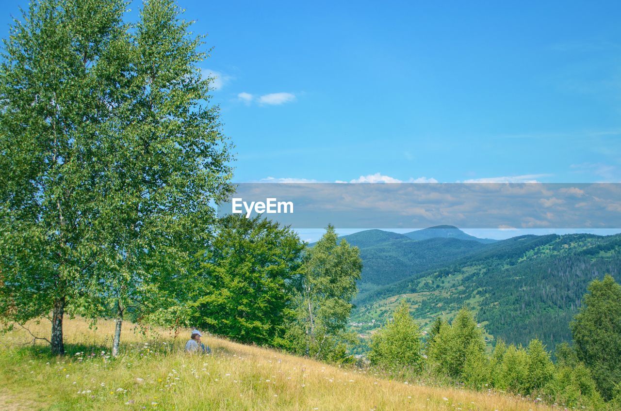 TREES ON FIELD BY MOUNTAINS AGAINST SKY