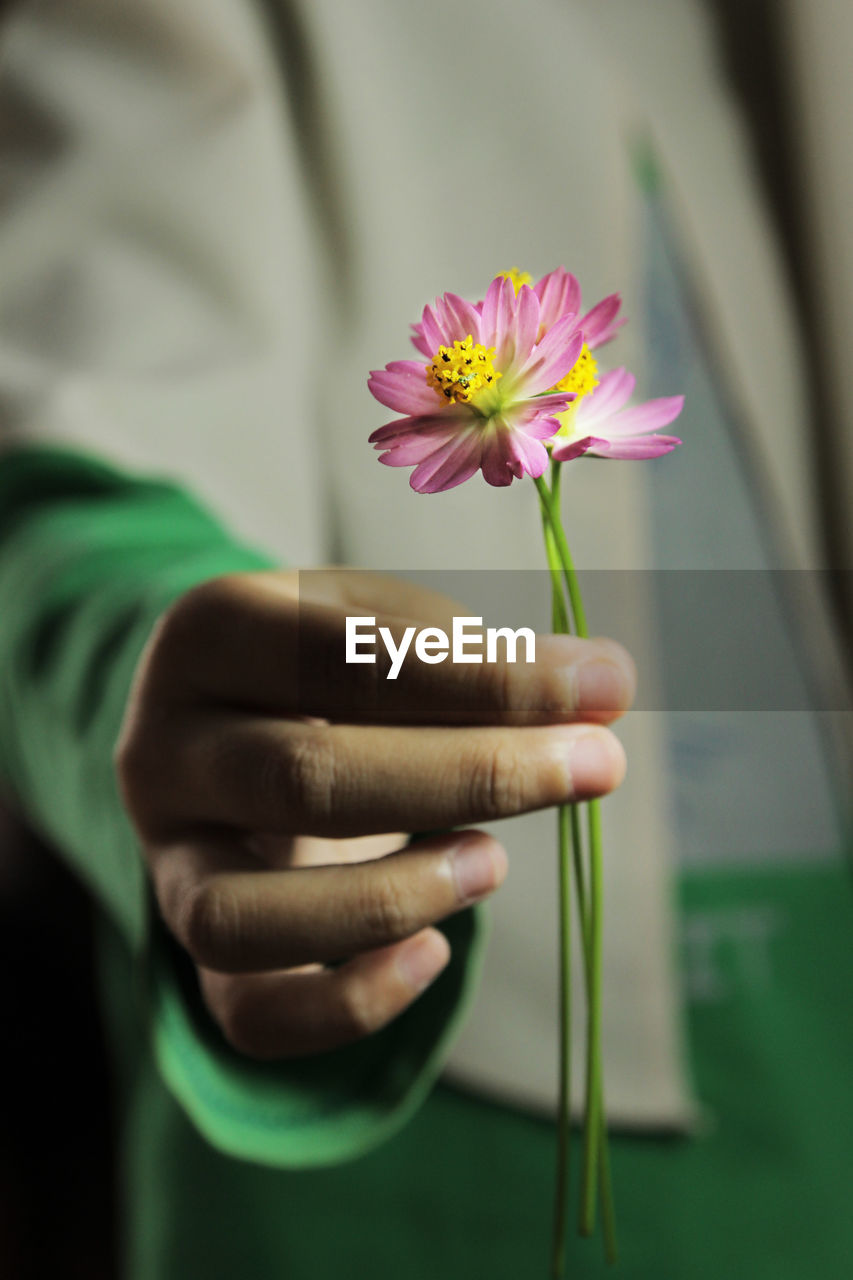 Midsection of person holding flower