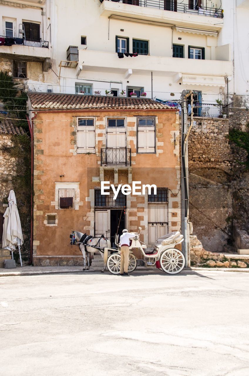 Rear view of man with horse cart standing by buildings