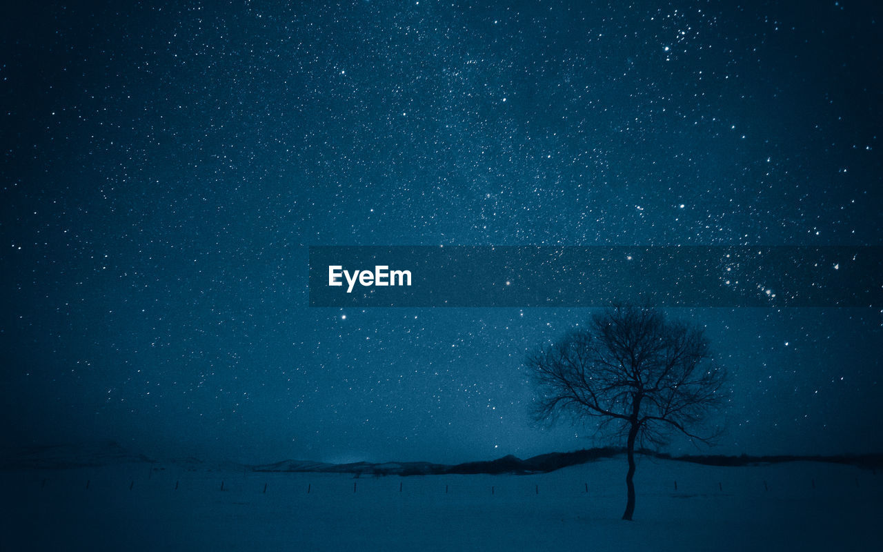 Scenic view of bare tree against sky at night