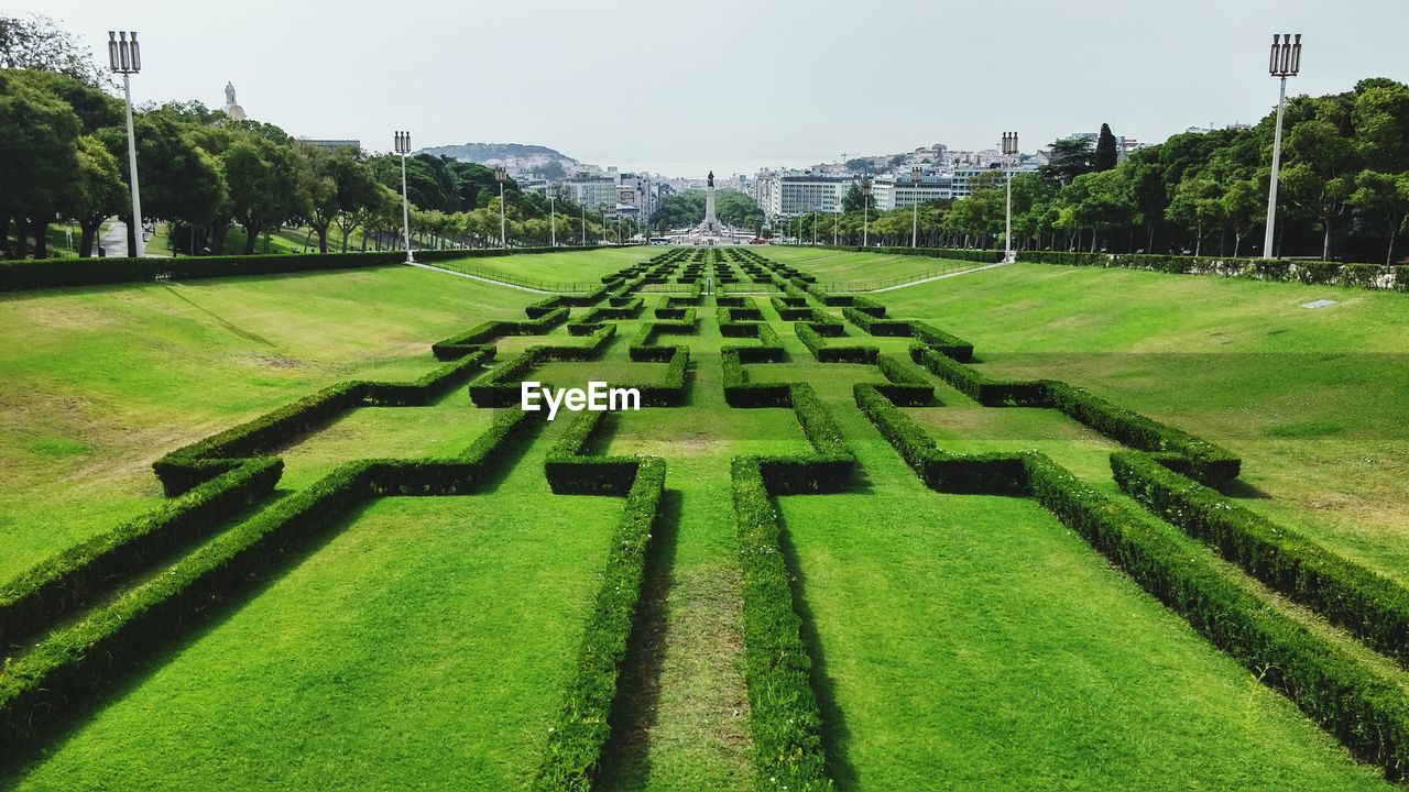 View of garden with trees in the background