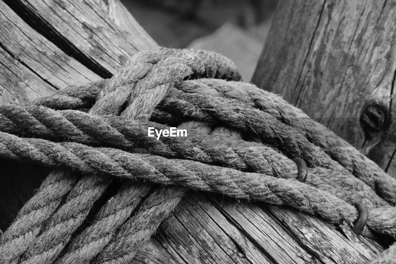 Close-up of ropes tied to wood