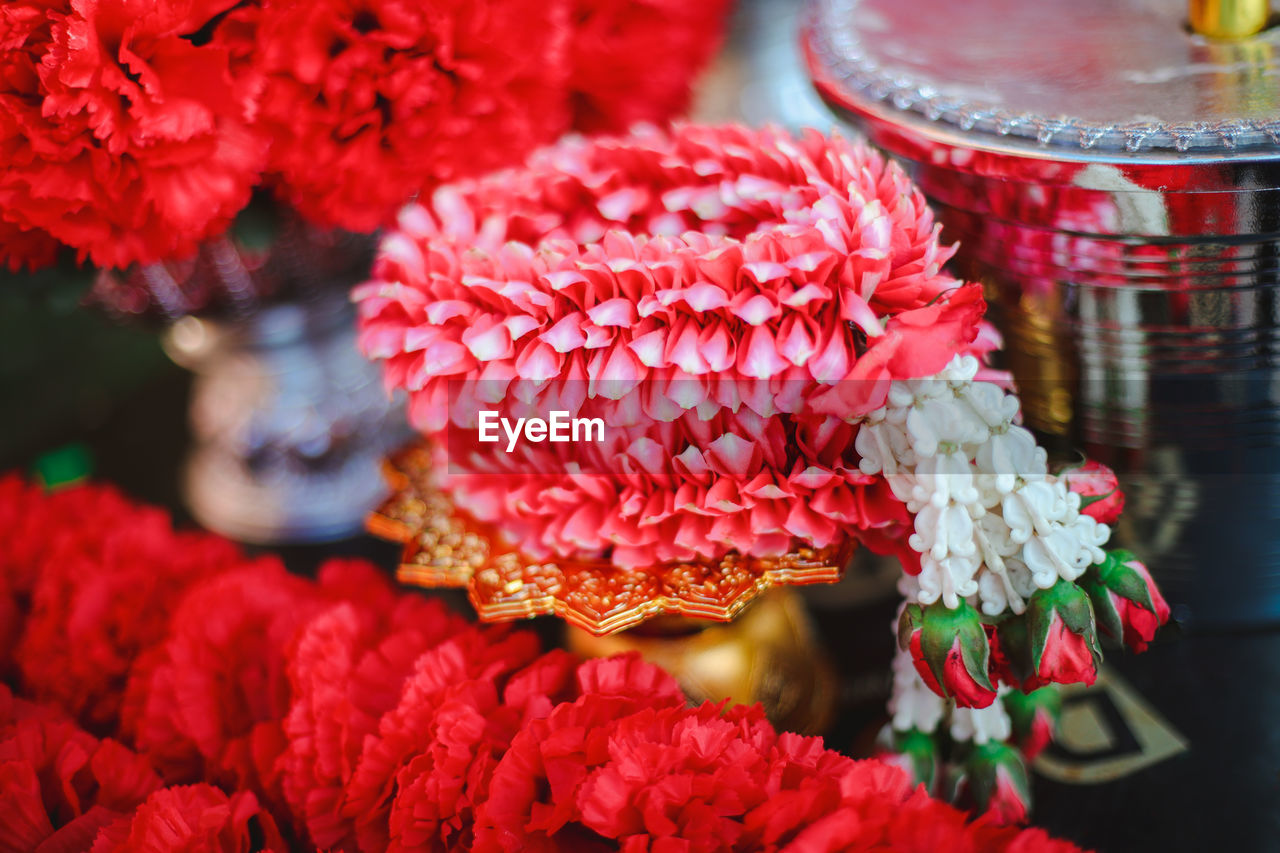 red, flower, flowering plant, petal, plant, chinese new year, pink, nature, close-up, freshness, floristry, beauty in nature, no people, tradition, festival, outdoors, focus on foreground, market