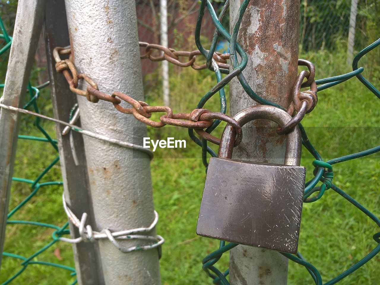 Close-up of padlock on chainlink fence