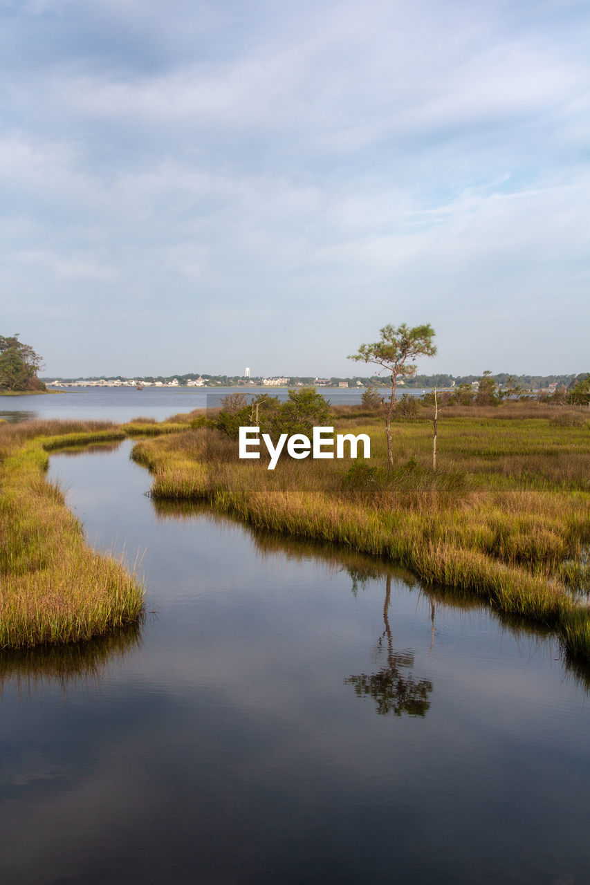 Scenic view of marsh against sky croatan national, outer banks north carolina 
