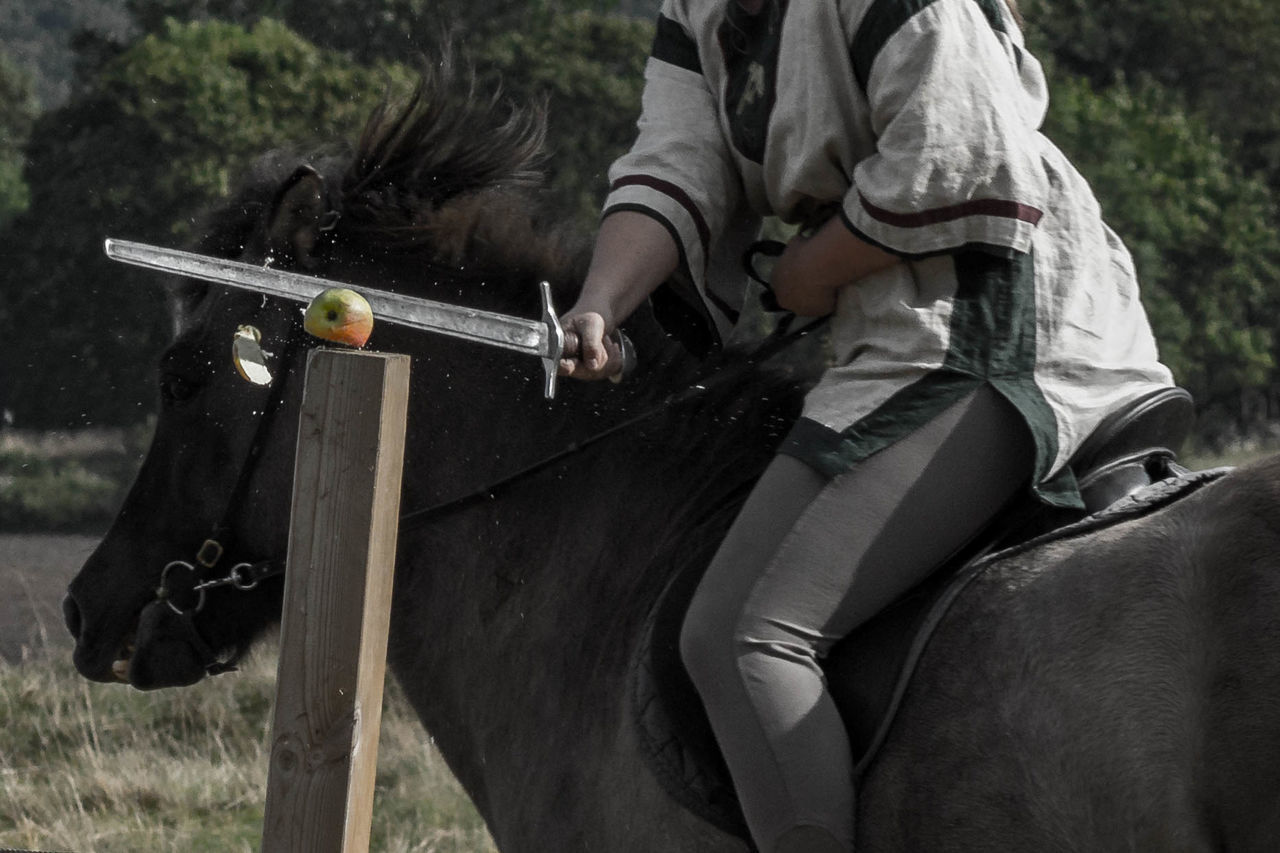 Midsection of woman cutting apple with sward while riding on horse