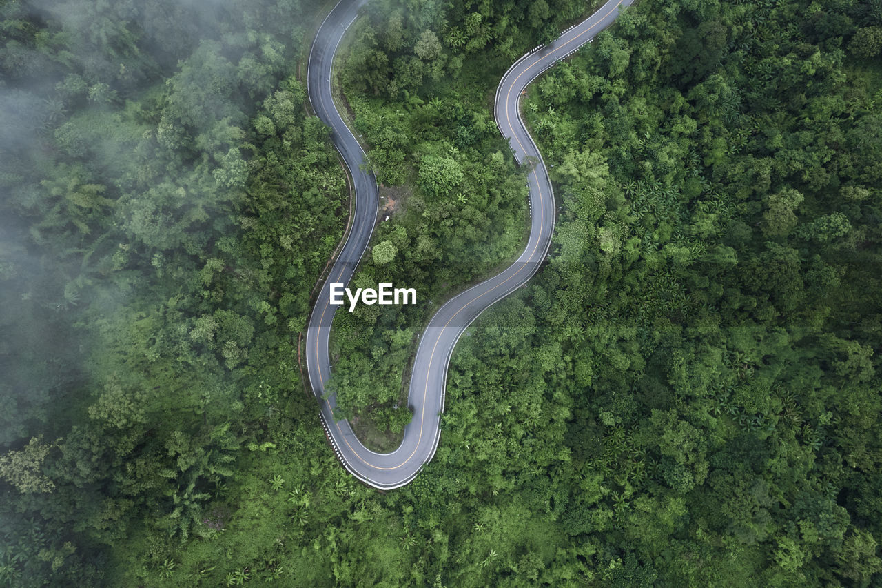 High angle view of road amidst trees in forest