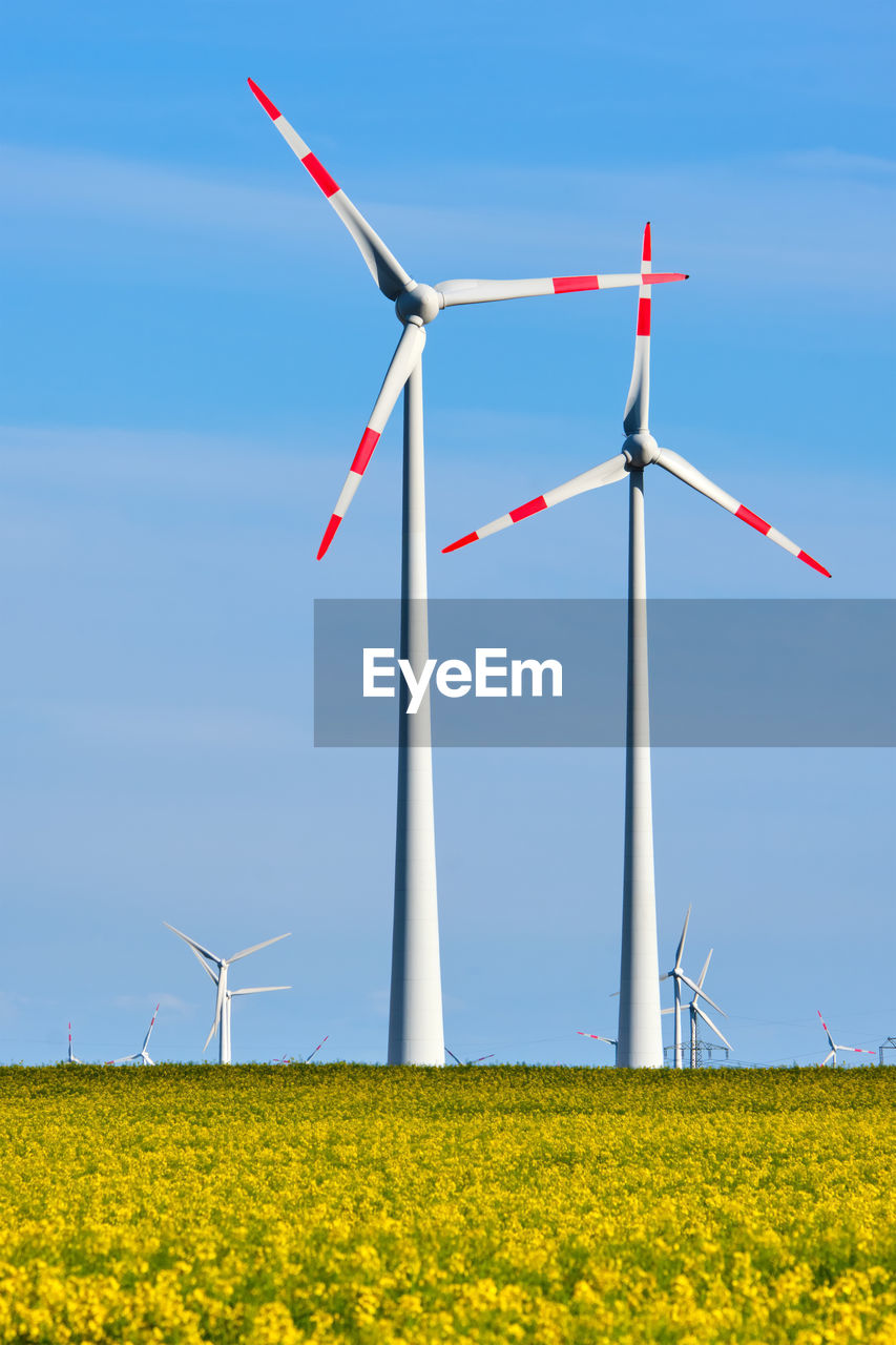 Wind turbines in a thriving rapeseed field seen in germany