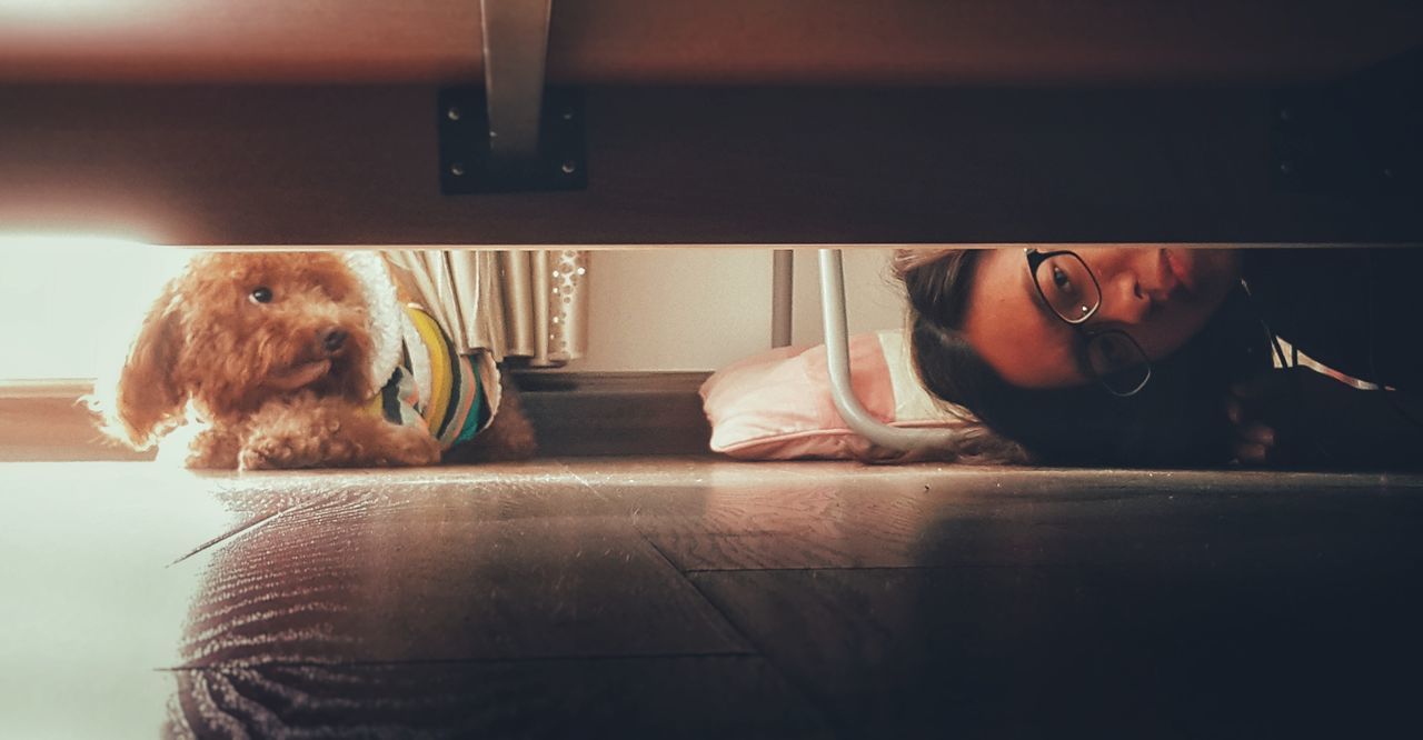 Portrait of young woman with dog looking under bed at home