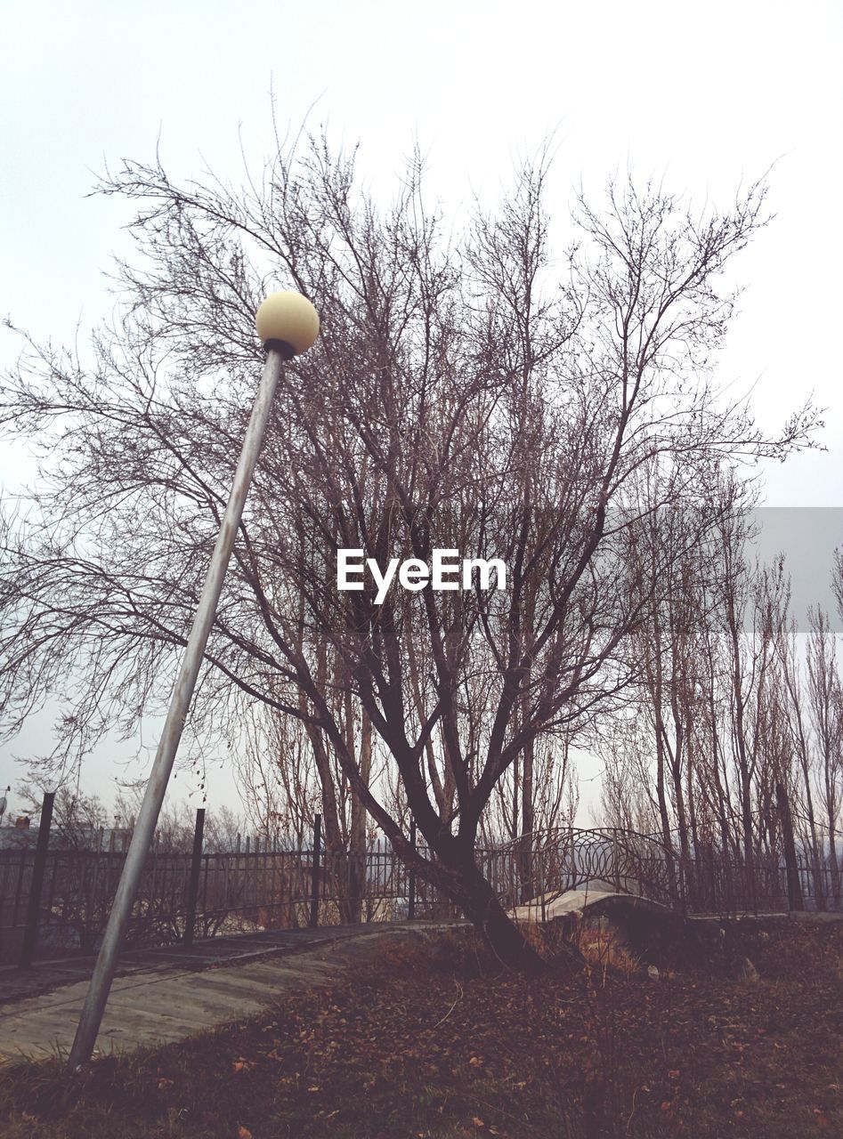 LOW ANGLE VIEW OF BARE TREES ON FIELD AGAINST SKY