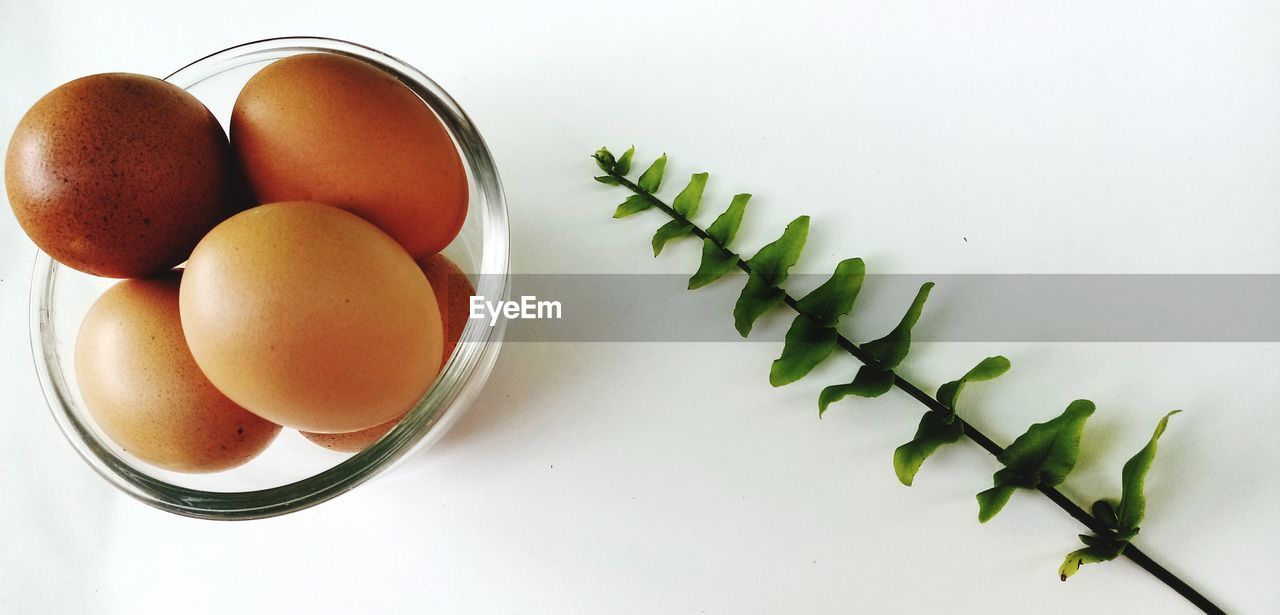 HIGH ANGLE VIEW OF EGGS IN PLATE