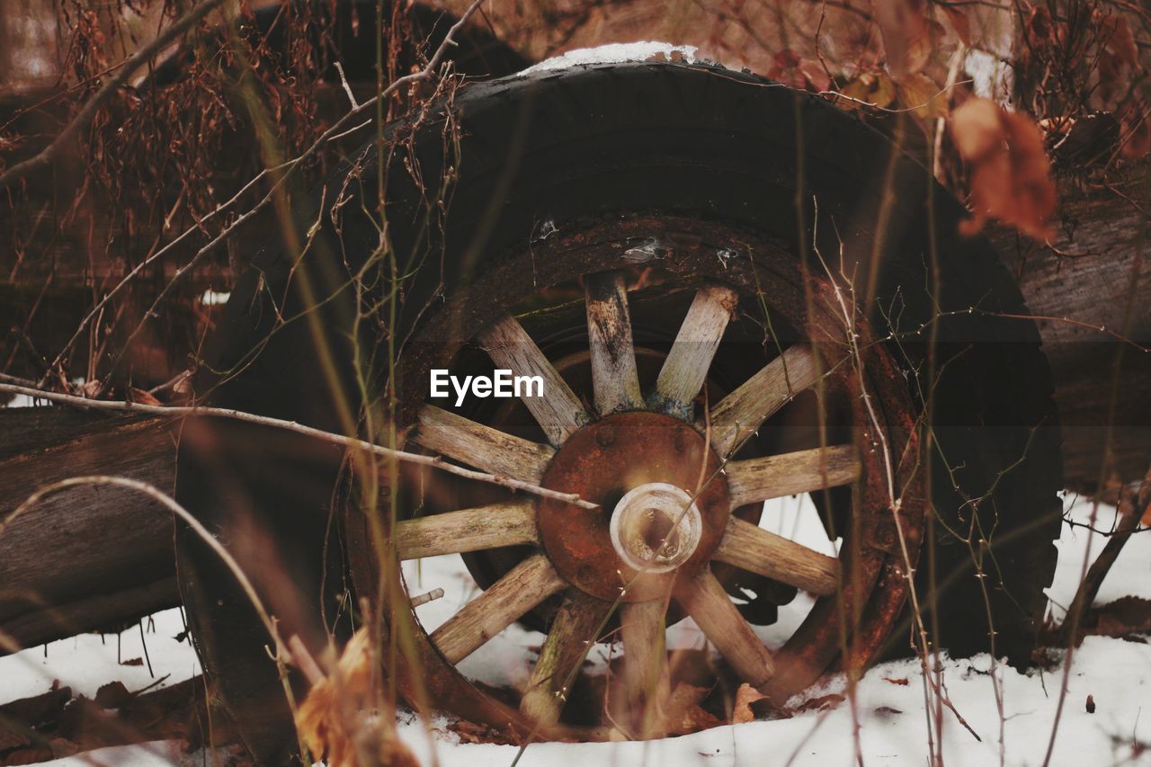 Abandoned car by dried plants on snowfield