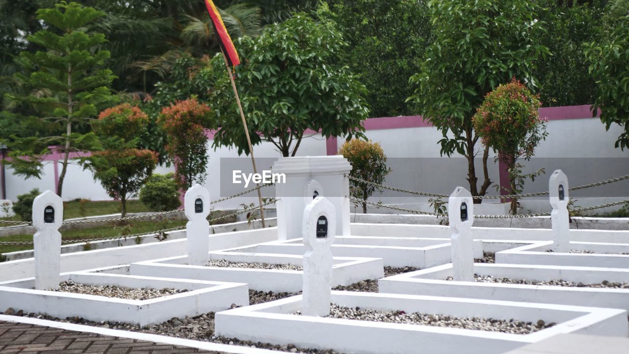 VIEW OF WHITE GARDEN WITH PLANTS