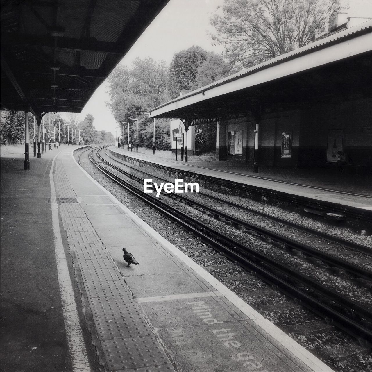 Railroad station platform against sky with pigeon